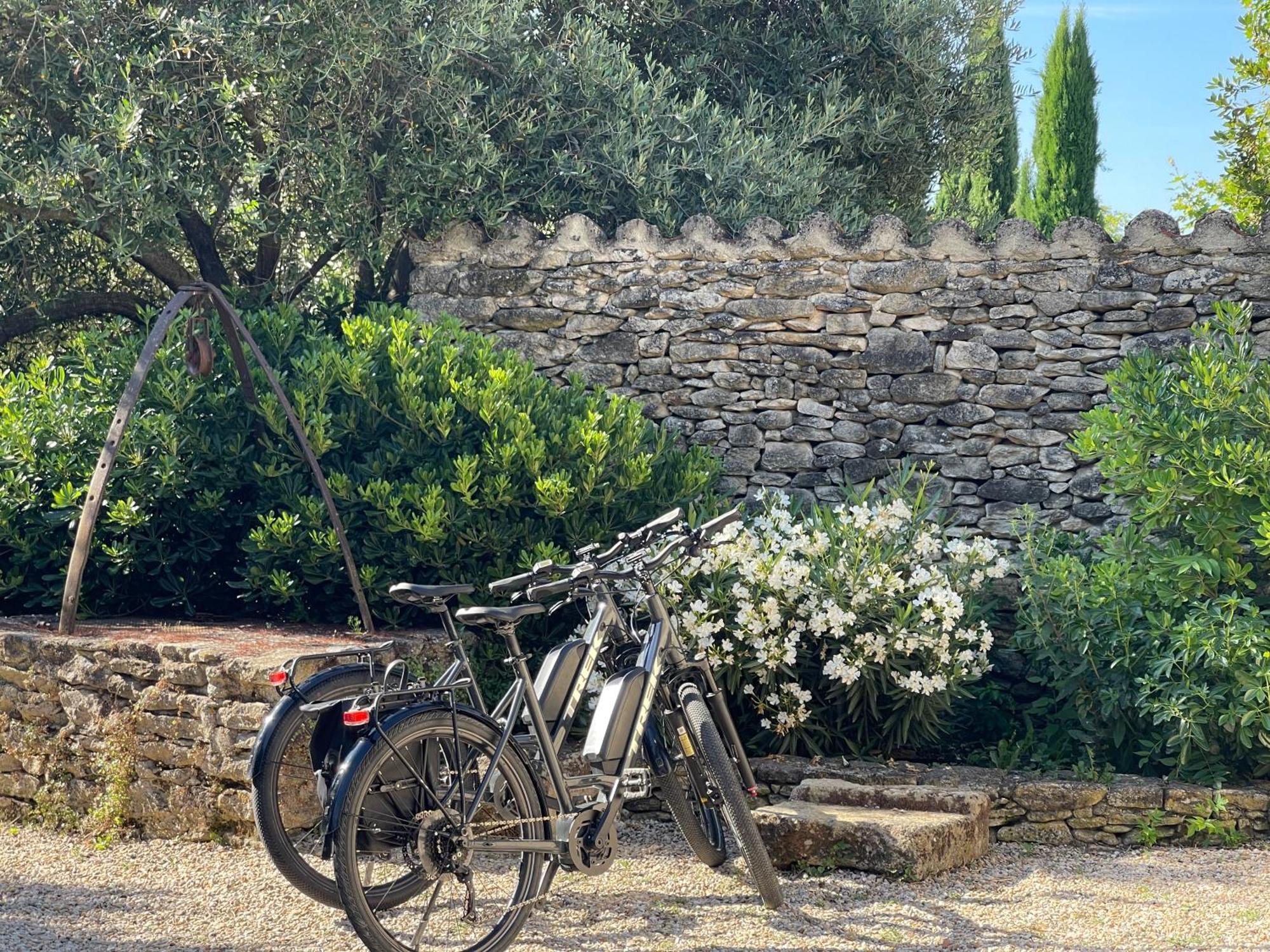 La Villa Baronnette Cabrières-dʼAvignon Exterior foto